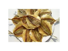 ������ ���������