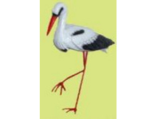 ������� ���� ���������, h38�� �2010--10-S