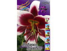 43,3���. ����� ������ �������(�������� ���� �� 5 ��., ����������� ����� 1��.).jpg