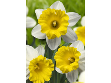 28,16���. ������� �����(��� 7 ��. ���������� ������ 3 ��� 4 ��.).jpg