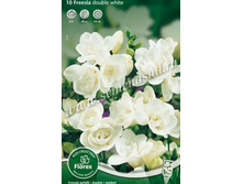 ������ �������� ����.jpg