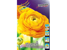 10,44���. ���������� ������(���������� ������ ������ ���������� �� 10 ��.).jpg