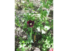 �����. ������ �����. �� ���������!