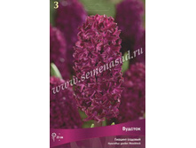 ������� ������� �������.jpg