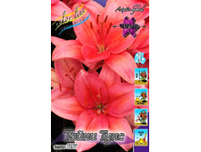 26,7���. ����� ����� ����(��� 5 ��. ���������� ������ 2 ��� 3 ��.).jpg