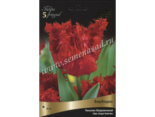 ������� ��������.jpg