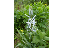 P1050048.JPG �������� 80