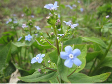 ����� 022.jpg