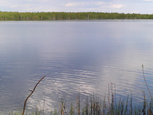 IMG 20160507 144115.jpg