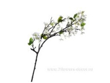 3661864017756 ����� ������������� ������, 97�� 24 1335,15.jpg