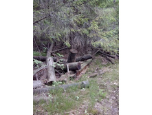 IMG 20160522 143826.jpg