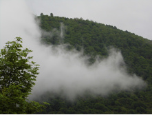 �� ������ � �������� �� ���� � ��������