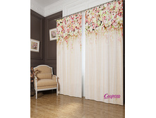 02560. "��������� ���������"