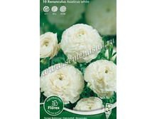 ����� ����.jpg