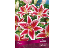 ����� ��������.jpg