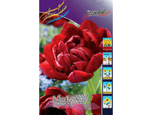 20,93���. ������� �������(��� 10 ��. ���������� ������ 5��.).jpg