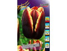 24,11���. ������� ��������(��� 10 ��. ���������� ������ 5��.).jpg