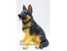 ����� �������