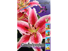 28,54���. ����� ���������(��� 5 ��. ���������� ������ 2 ��� 3 ��.).jpg