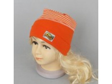 ����� ���. 446 ����� 120 ���