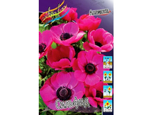 5,15���. ������� �������(���������� ������ ������ ���������� �� 15 ��.).jpg