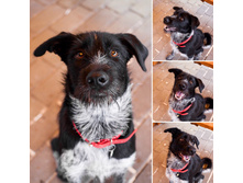 11,5 �������