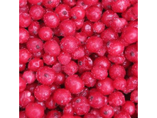 ������� ���������  ���� 1 �� - 155,00