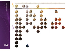 ������� ColorEvo-2.jpg