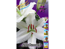 29,26���. ����� ���������(��� 5 ��. ���������� ������ 2 ��� 3 ��.).jpg