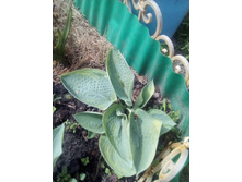 IMG 20160528 121748[1].jpg