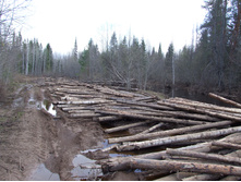 �.����. ������ ����.