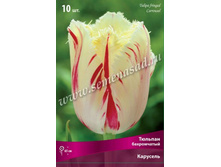 ������� ��������.jpg