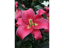 44,2���. ����� �������(�������� ���� �� 5 ��., ����������� ����� 1��.)���16.jpg