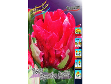 25,43���. ������� ���� ������ ����(��� 10 ��. ���������� ������ 5��.).jpg