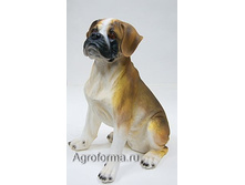 ������ ���ӣ�