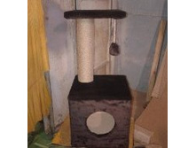 �� 750 ��� ����� "�������" 65��