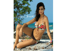 650�.������� ����� PUSH-UP P-12-2012.jpg