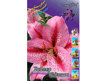 39,7���. ����� ������ �����(��� 5 ��. ���������� ������ 2 ��� 3 ��.).jpg