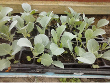 �������