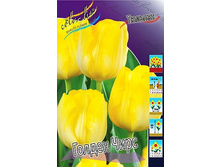 14,37���. ������� ������ ����(���������� ������ ������ ���������� �� 10 ��.).jpg