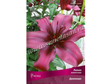 ����� �������.jpg