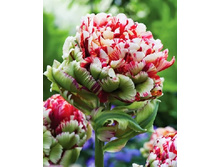 64,16���. ������� ���� ������� ���(�������� ���� �� 5 ��., ����������� ����� 1��.)���15.jpg