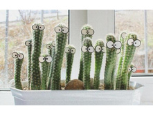 A3748c19565a23eeebdc2884fa1 prev.jpg