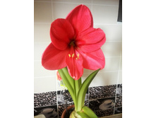 IMG 20160508 101852.jpg