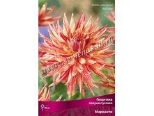 �������� �������������� ��������.jpg