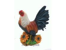 ����� � �����������