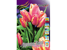 15,69���. ������� ������ ����(��� 10 ��. ���������� ������ 5��.).jpg