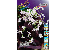 22,93���. ������� (�������) ����(��� 3 ��. ���������� ������ 3).jpg