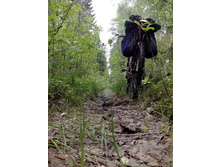 IMG 20160522 141718.jpg