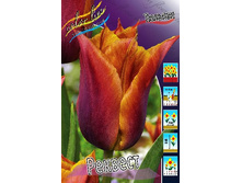 14,75���. ������� �������(���������� ������ ������ ���������� �� 10 ��.).jpg